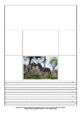 Popup-Buch-Zebra-A-1-5.pdf